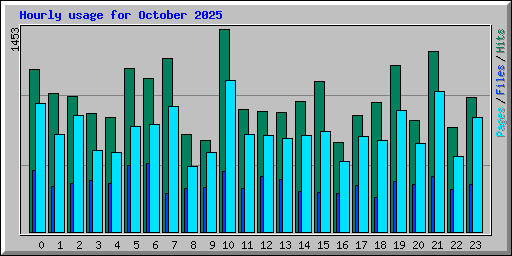 Hourly usage for October 2025
