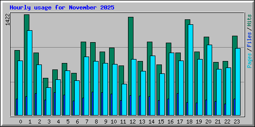 Hourly usage for November 2025