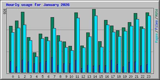 Hourly usage for January 2026