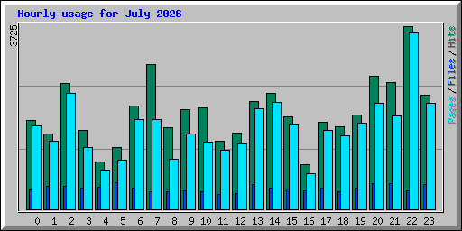 Hourly usage for July 2026