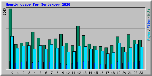Hourly usage for September 2026